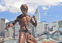  Biografie van Bruce Lee