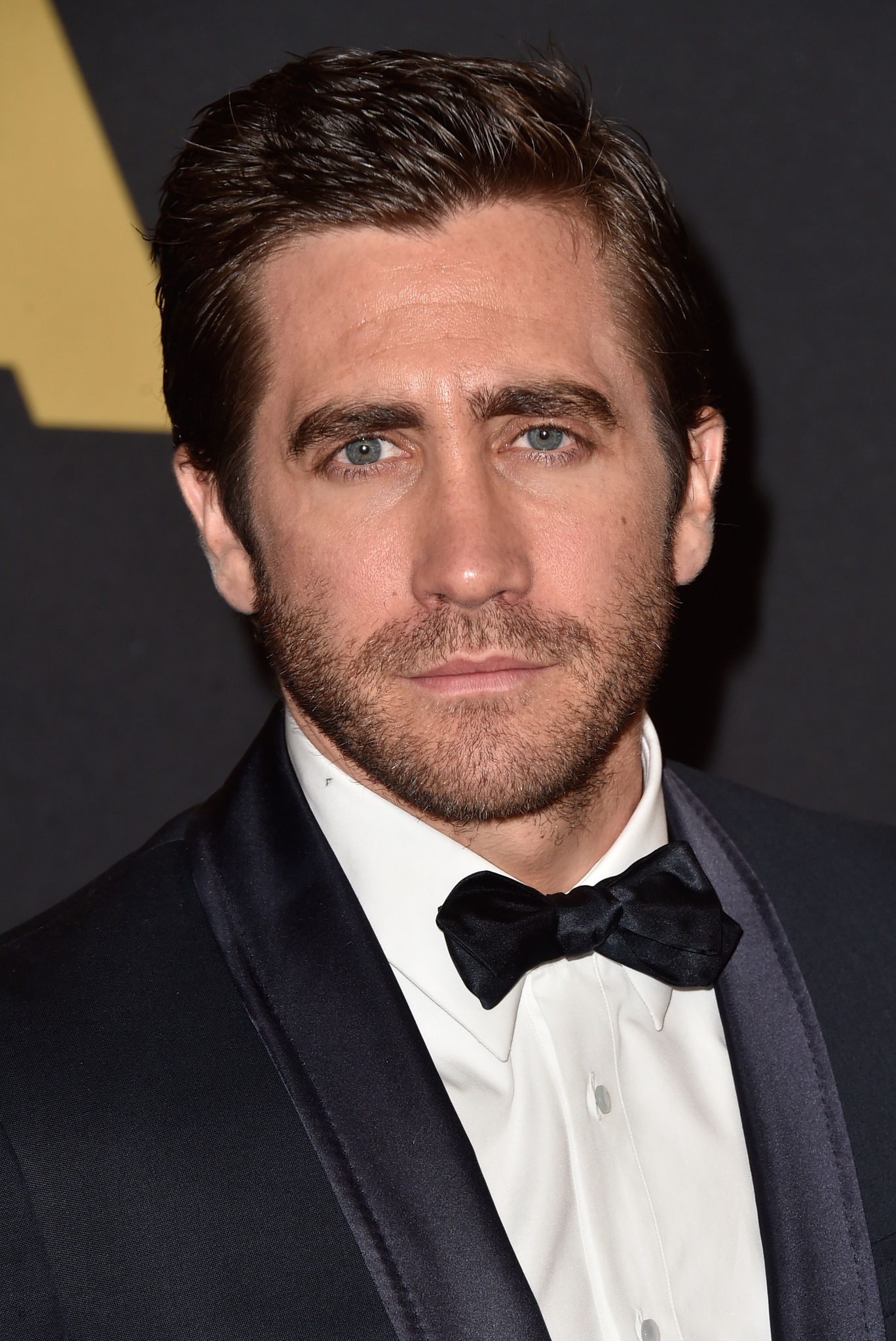  Životopis Jakea Gyllenhaala